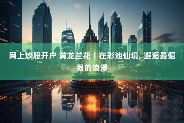 网上炒股开户 黄龙兰花丨在彩池仙境, 邂逅最倔强的浪漫