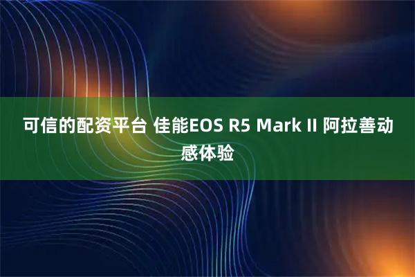 可信的配资平台 佳能EOS R5 Mark II 阿拉善动感体验