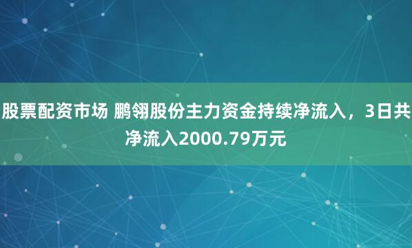 股票配资市场 鹏翎股份主力资金持续净流入，3日共净流入2000.79万元