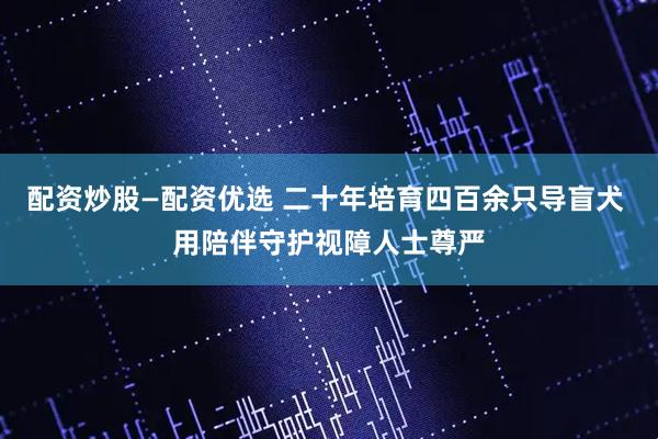 配资炒股—配资优选 二十年培育四百余只导盲犬 用陪伴守护视障人士尊严